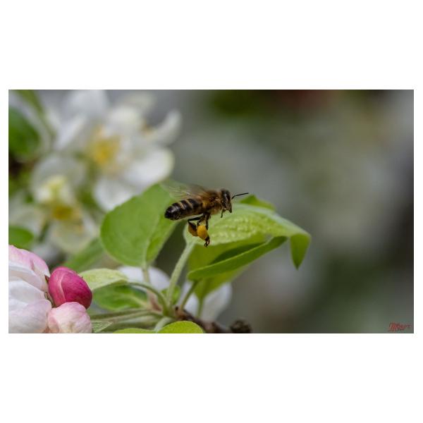 PHOTO84, CLUB, 84 , LUBERON